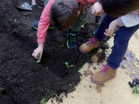 Plantação de produtos hortícolas com intervenção dos alunos.